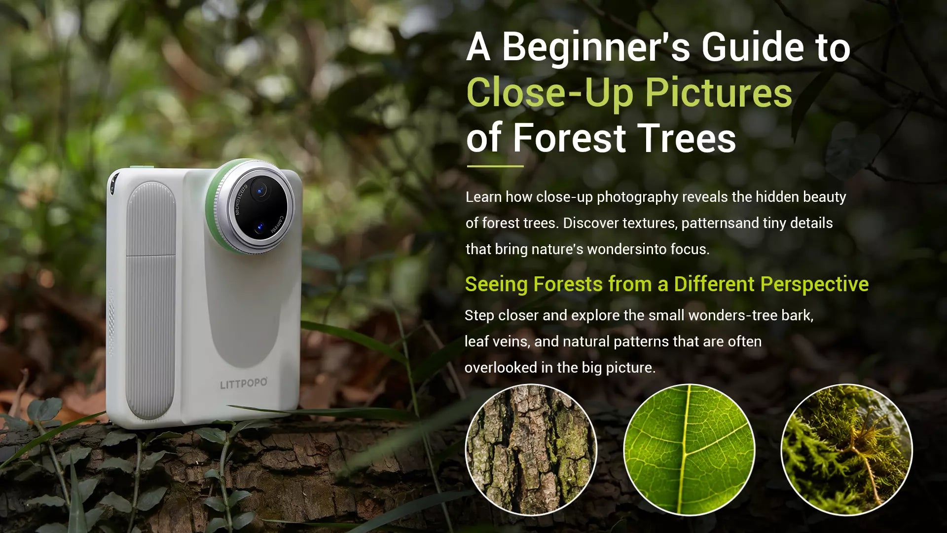 A portable microscope camera on a mossy log displaying a beginner's guide to close-up forest tree photography.