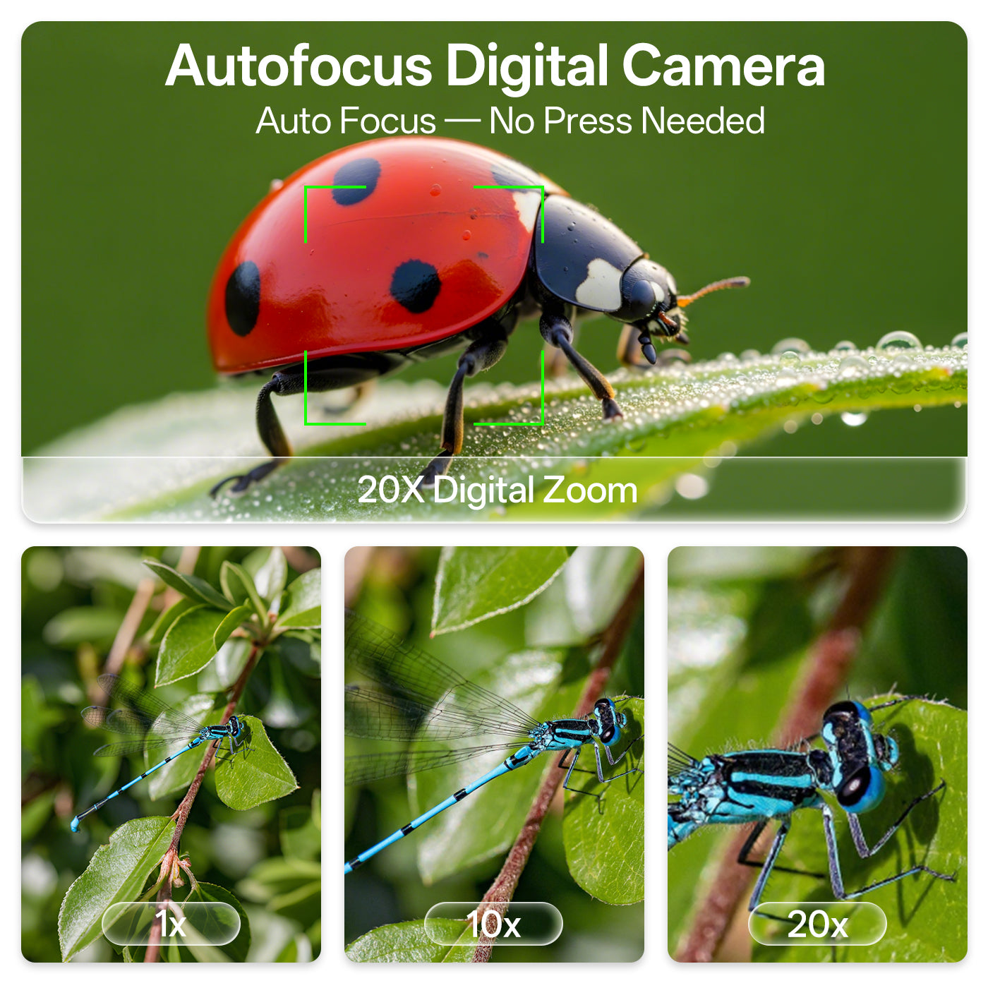 Digital camera advertisement with a ladybug and dragonflies on leaves, highlighting autofocus and digital zoom capabilities.