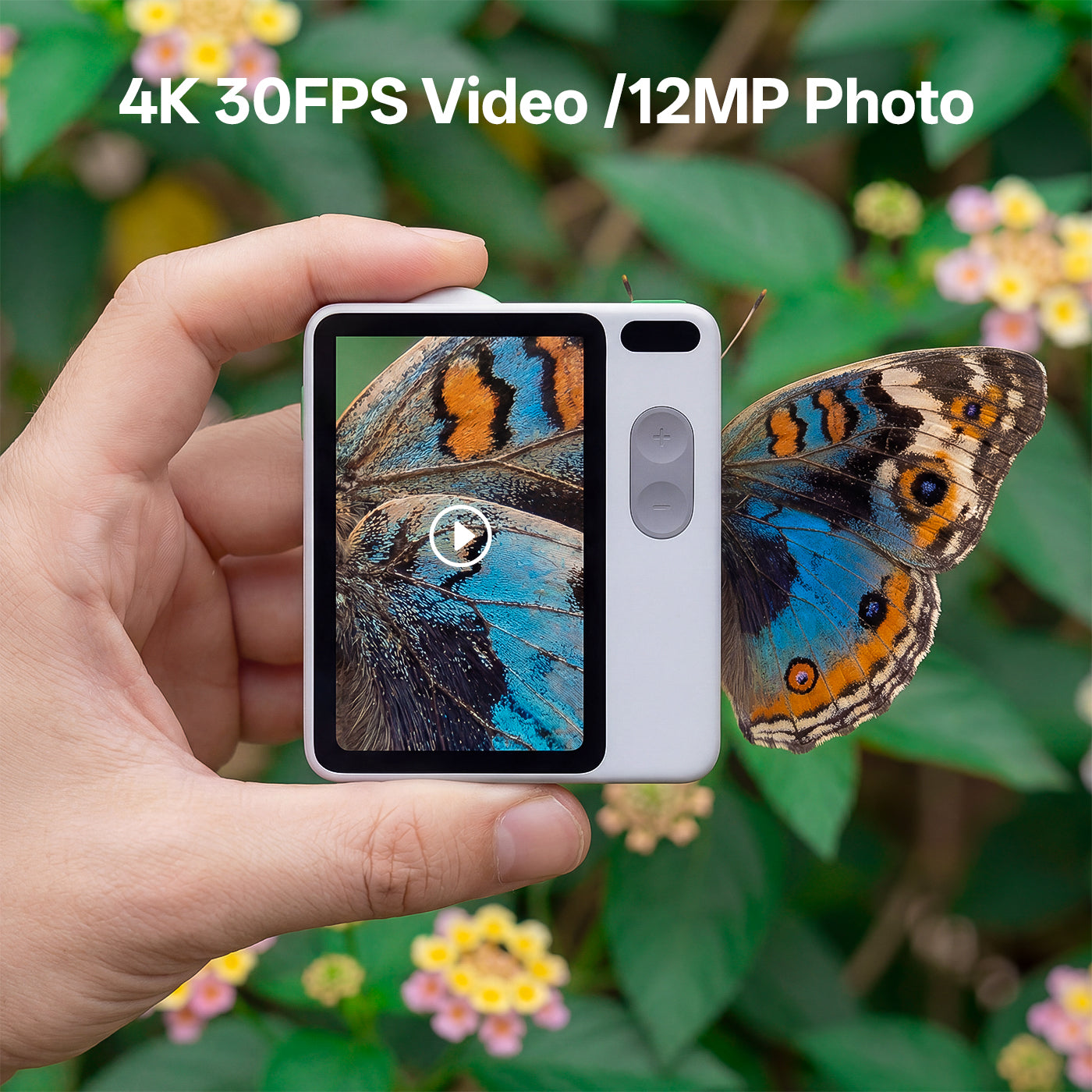 Hand holding a compact camera with a butterfly on a leaf in the background