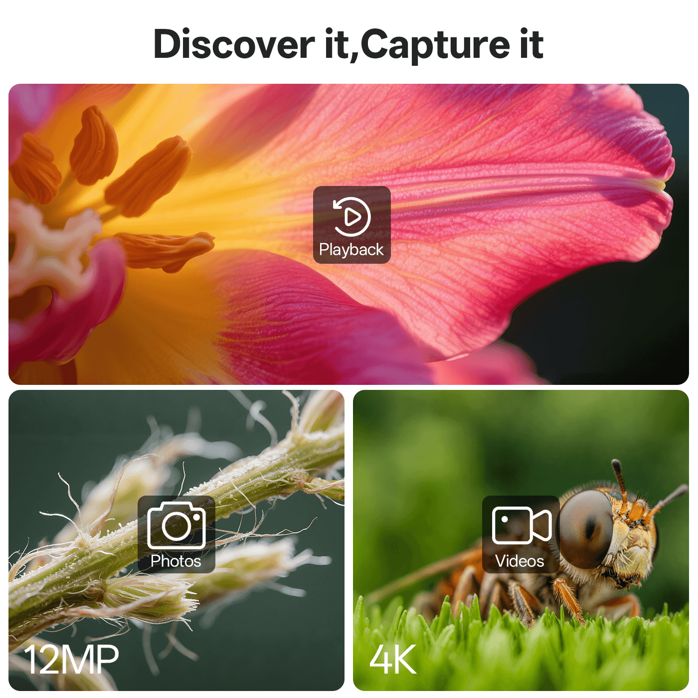 Collage of a close-up of a flower, plant details, and a bee with text 'Discover it, Capture it' and icons for photo, video, and playback.