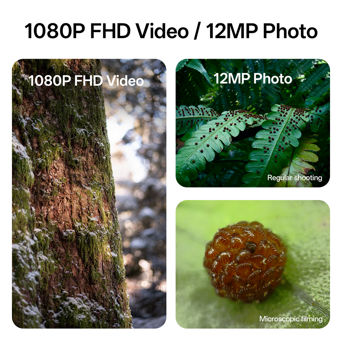 Littpopo MicroCam X1 dual-use camera featuring 1080p FHD video for snowy forest trees and 12MP regular and microscopic photo modes