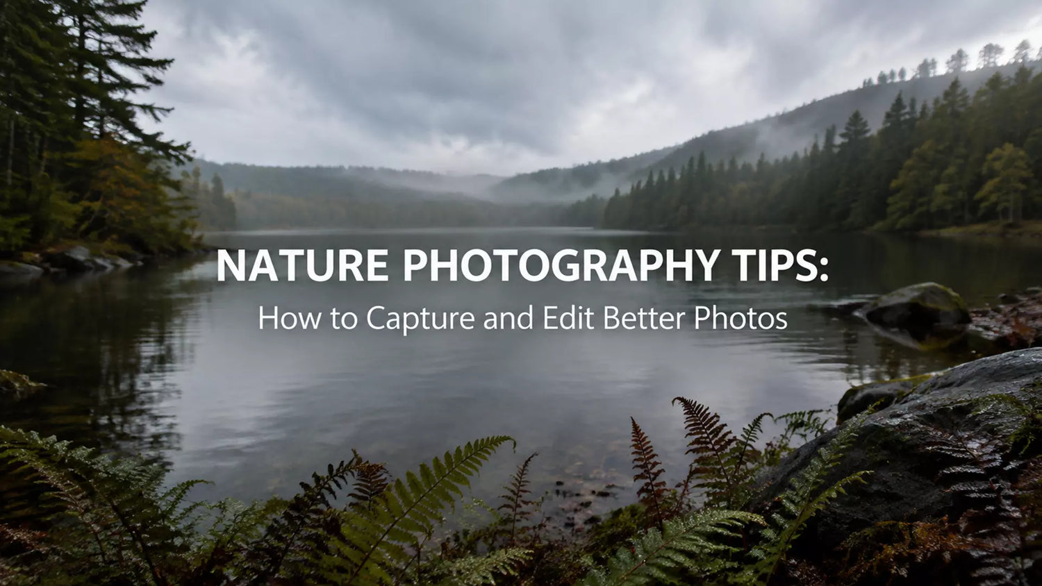 Nature Photography Tips: How to Capture and Edit Better Photos