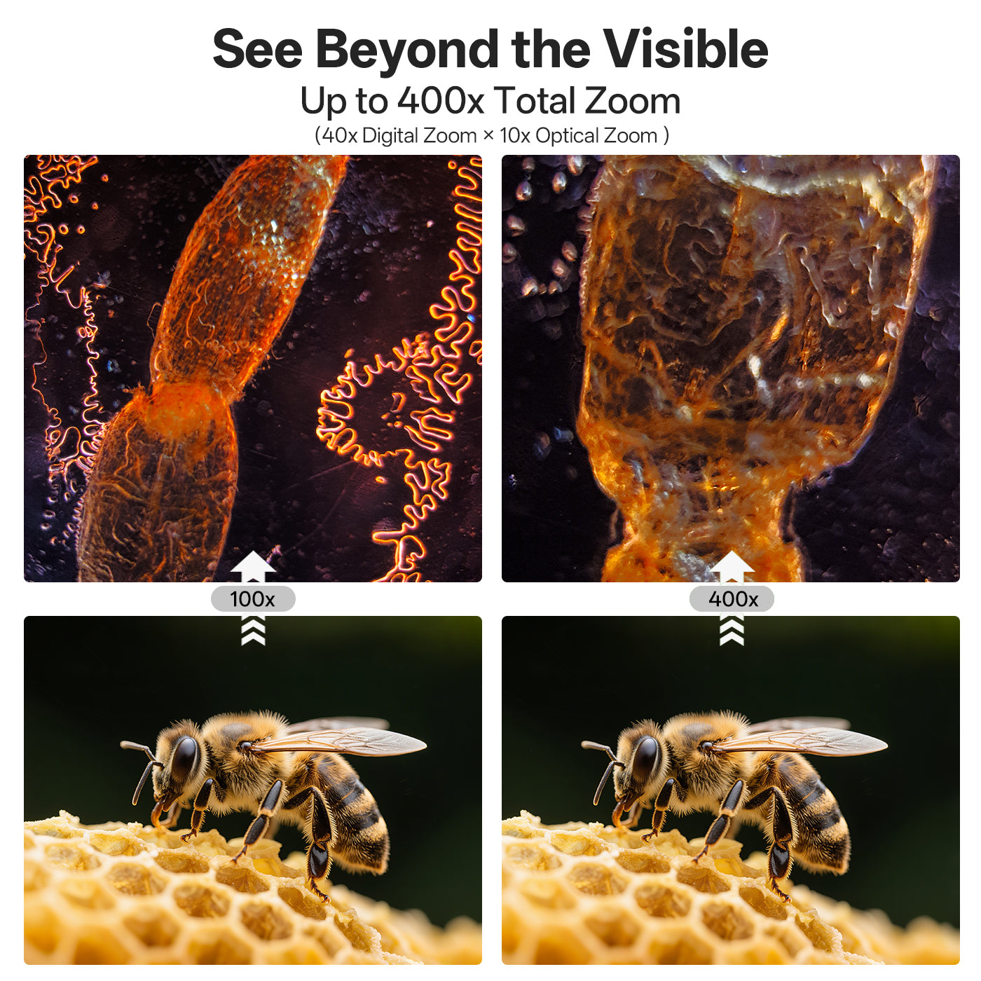 Zoomed-in images of a bee and honeycomb with text about zoom capabilities.