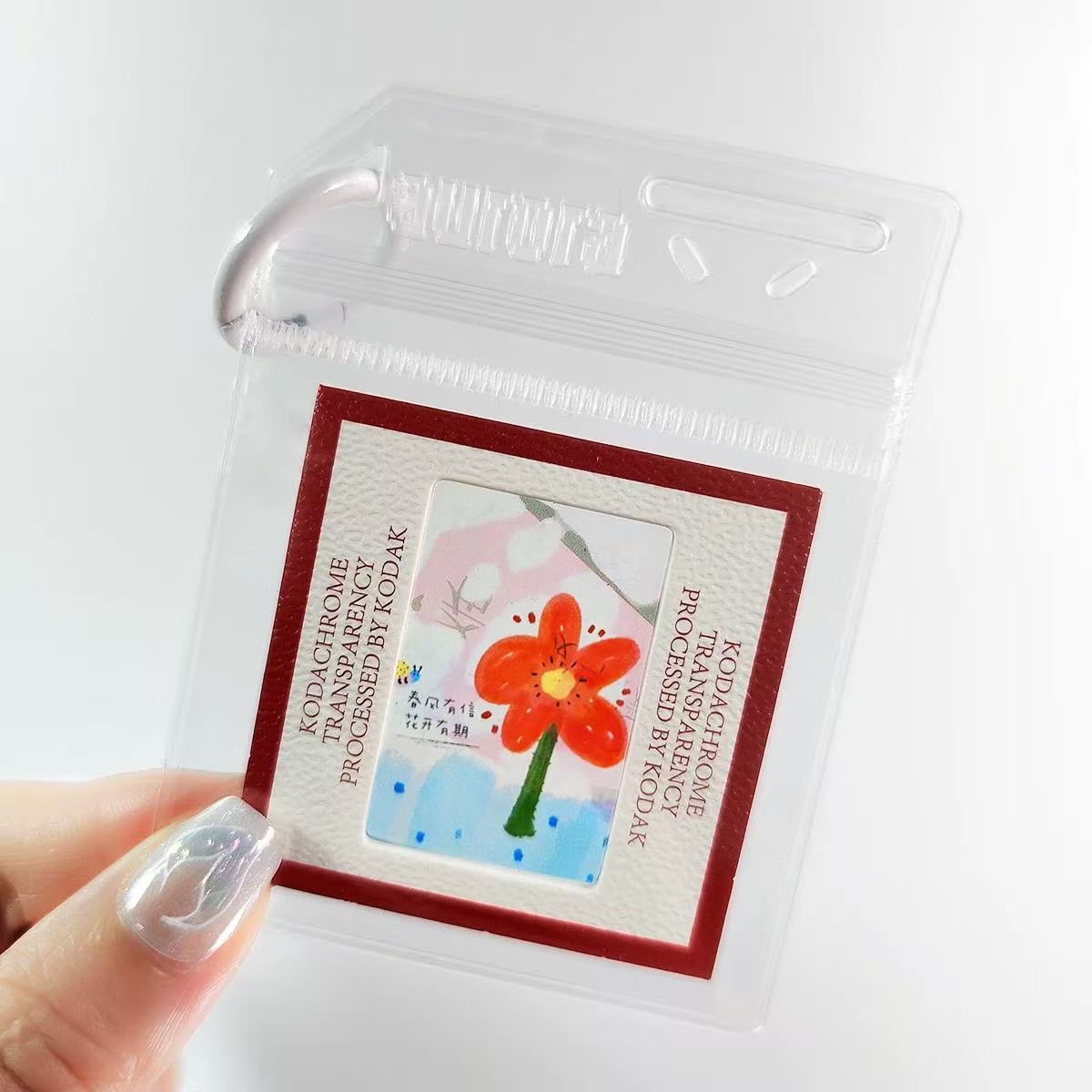 MicroCam X1 Slide Film Photo Print - From Micro to Memory