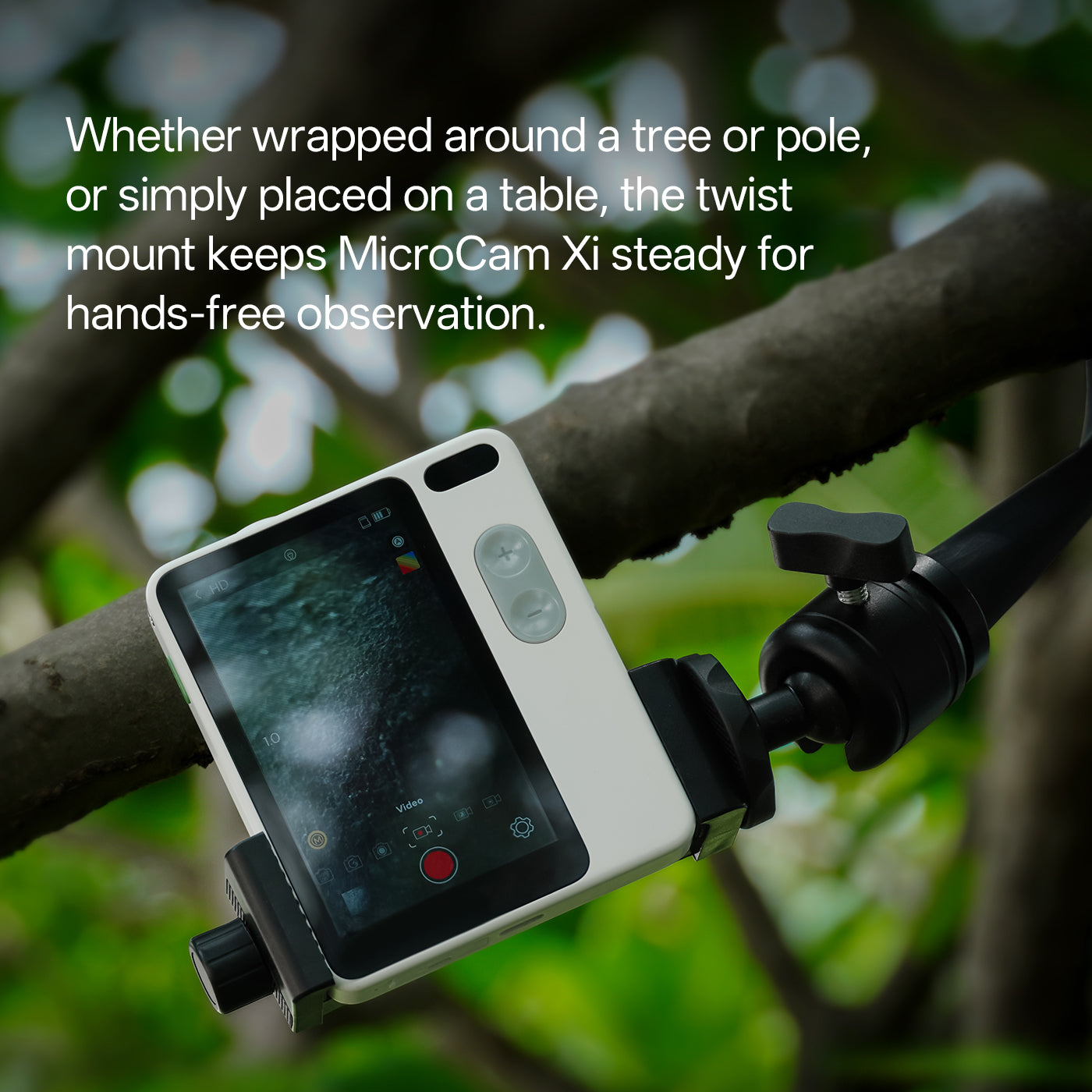 MicroCam Xi camera mounted on a tree branch with text describing its use.