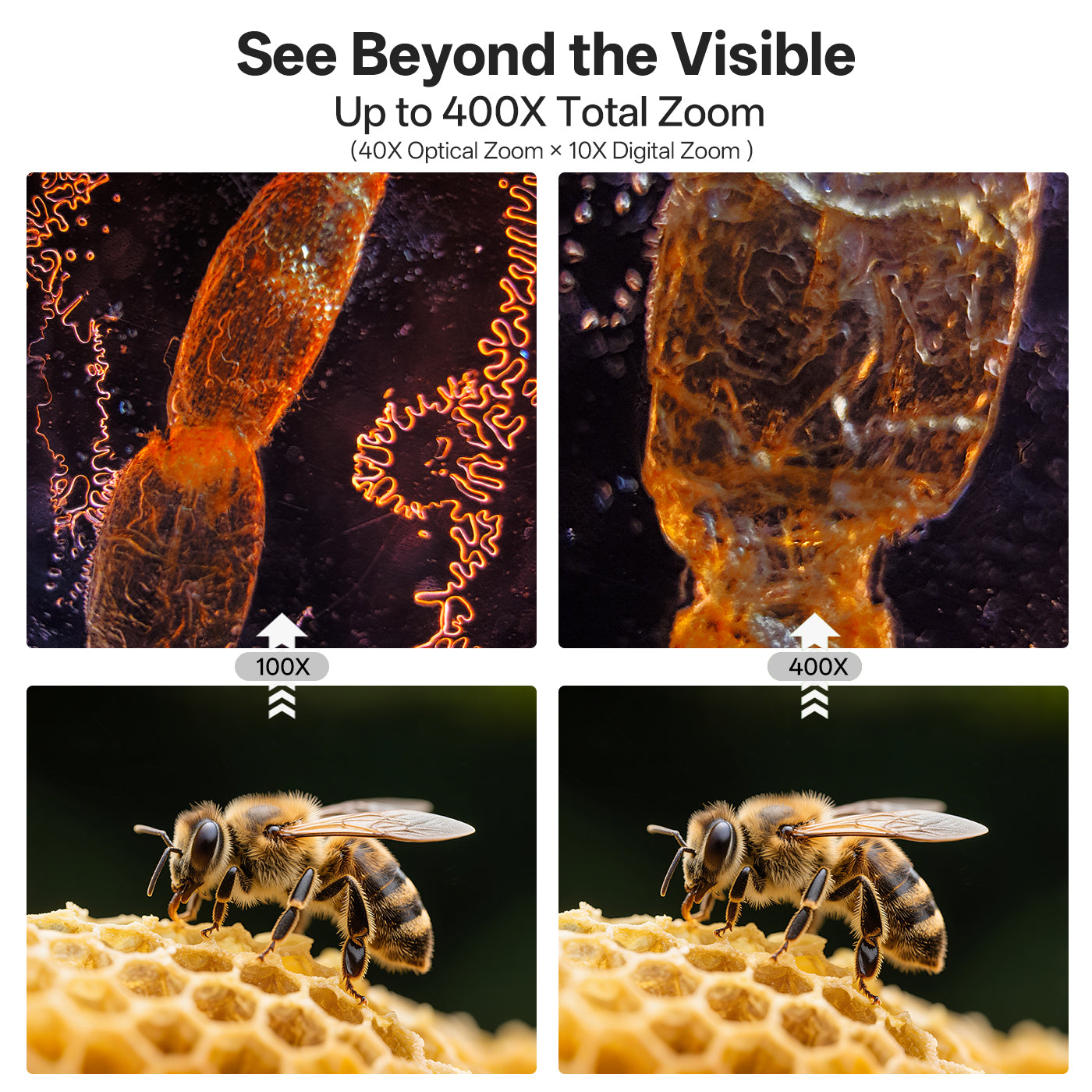 Zoomed-in images of a bee and honeycomb with text about zoom capabilities.