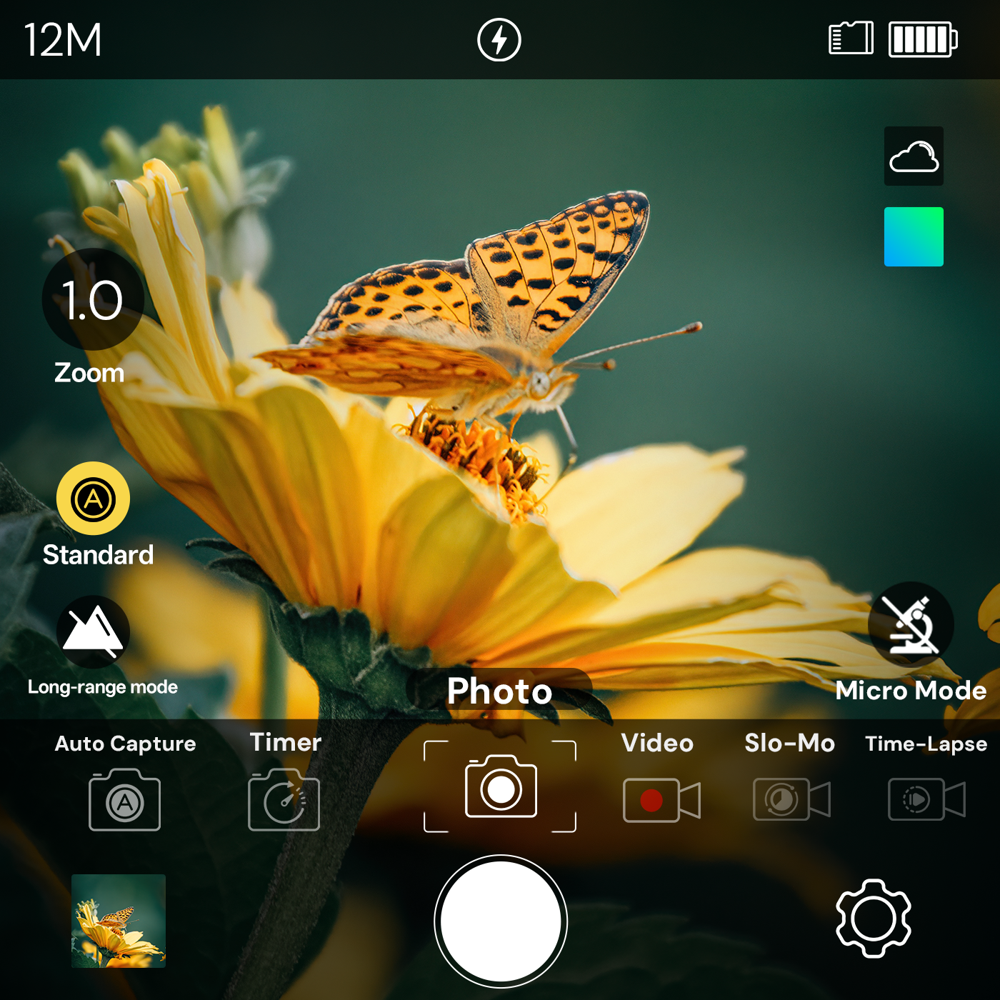 Littpopo camera interface showing a close-up photo of a butterfly on a yellow flower, with camera controls and mode labels visible on screen.