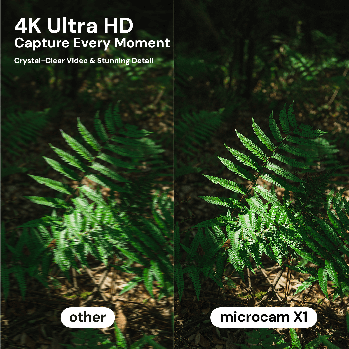Pocket Digital Camera