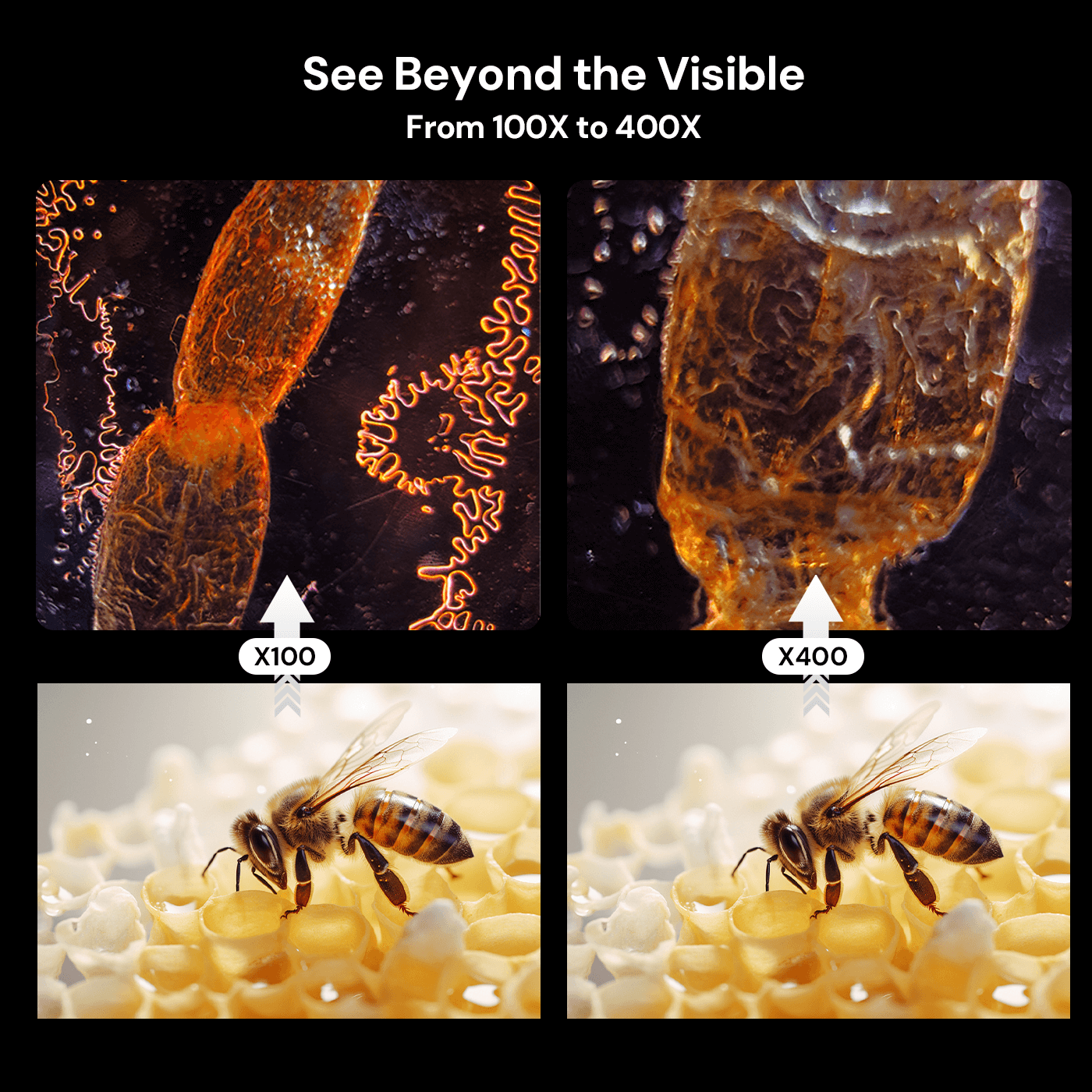 400X Handheld Digital Microscope 
